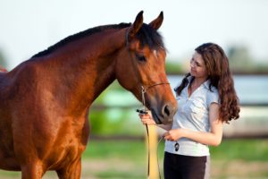 How Expensive Are Horses To Keep?