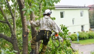tree surgeon